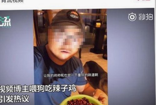 明星生活背后:官方发声揭示娱乐圈真实面貌
