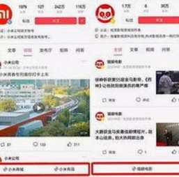 当红小花张婷最新动态：从流量新星到演技派的蜕变